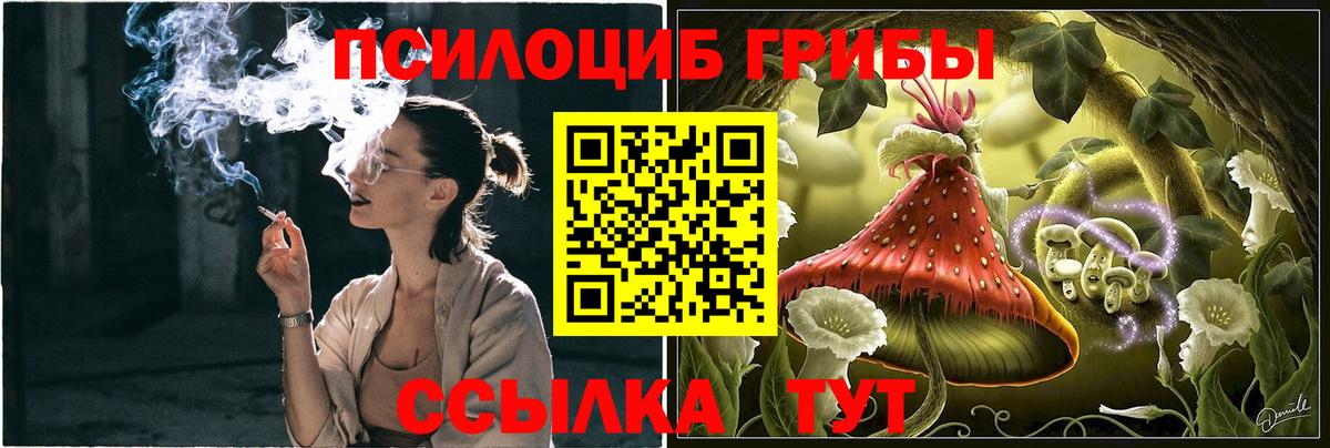 Шарыпово  Галлюциногенные грибы MAGIC MUSHROOMS  Псилоцибиновые грибы ЛСД  Вход с VPN 